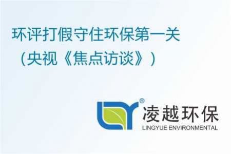 环评打假 守住环保第一关（央视《焦点访谈》）