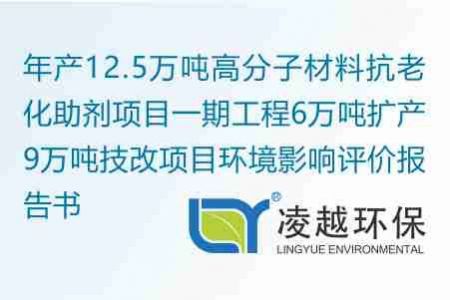 年产12.5万吨高分子材料抗老化助剂项目一期工程6万吨扩产9万吨技改项目环境影响评价报告书